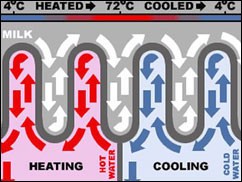 Understanding Pasteurization in China Understanding Pasteurization in China